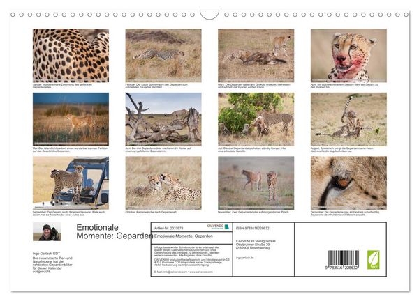 Produktbild: Emotionale Momente: Geparden (Wandkalender 2026 DIN A3 quer), CALVENDO Monatskalender