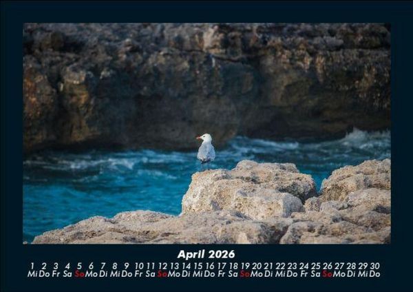Produktbild: Sehnsucht nach Meer 2026 Fotokalender DIN A5