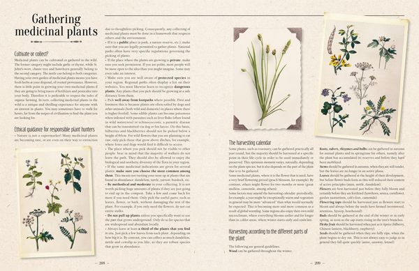 Produktbild: 100 Plants That Heal