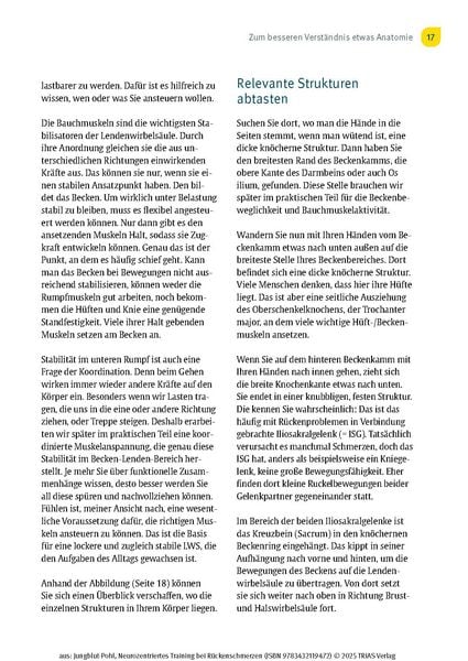 Produktbild: Neurozentriertes Training bei R&uuml;ckenschmerzen