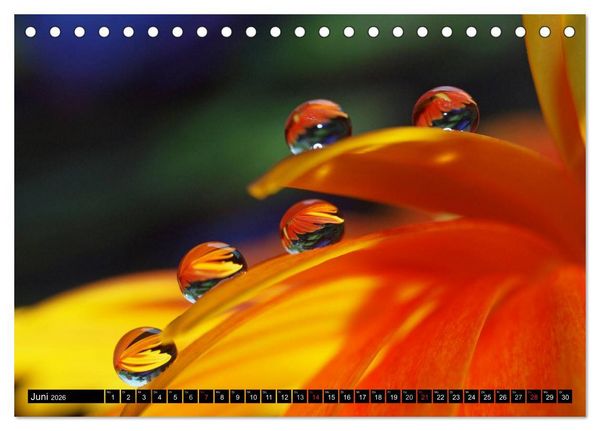 Produktbild: Wassertropfen - Diamanten des Lebens (Tischkalender 2026 DIN A5 quer), CALVENDO Monatskalender