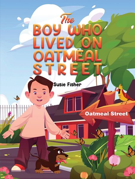 Produktbild: Boy Who Lived on Oatmeal Street