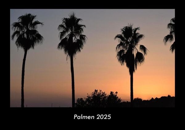 Produktbild: Palmen 2025 Fotokalender DIN A3