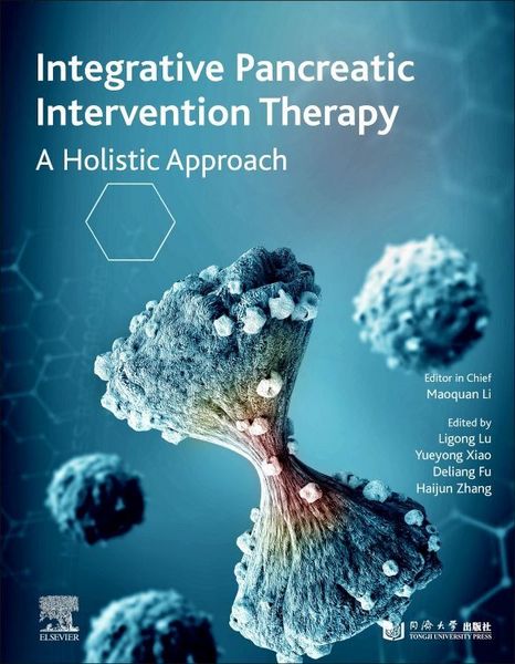 Produktbild: INTEGRATIVE PANCREATIC INTERVE