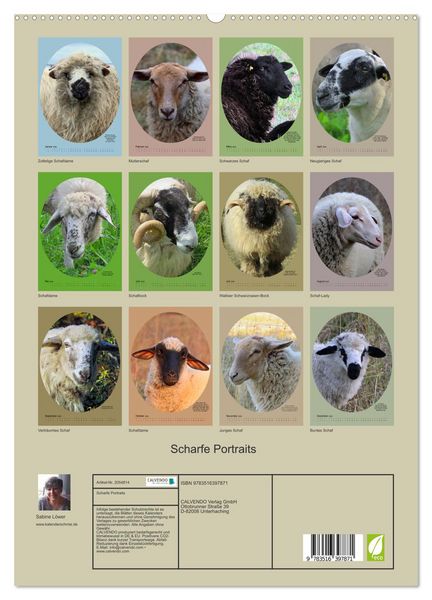 Produktbild: Scharfe Portraits (Wandkalender 2026 DIN A2 hoch), CALVENDO Monatskalender