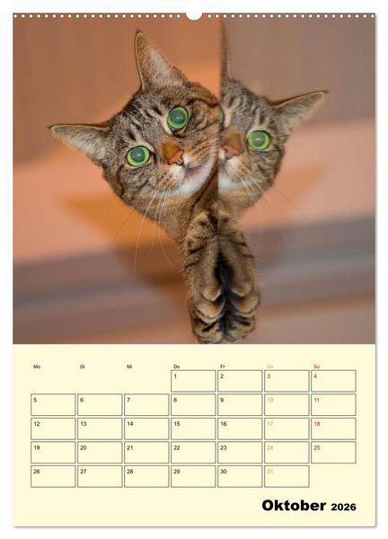 Produktbild: K&auml;tzchen - Theater (Wandkalender 2026 DIN A2 hoch), CALVENDO Monatskalender
