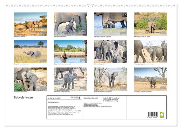 Produktbild: Babyelefanten (Wandkalender 2026 DIN A2 quer), CALVENDO Monatskalender