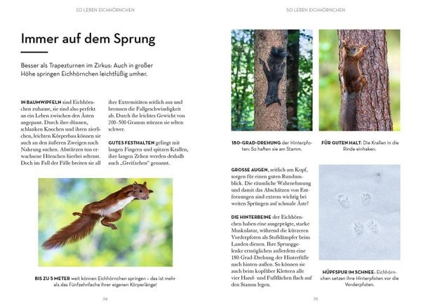 Produktbild: Mach was f&uuml;r Eichh&ouml;rnchen