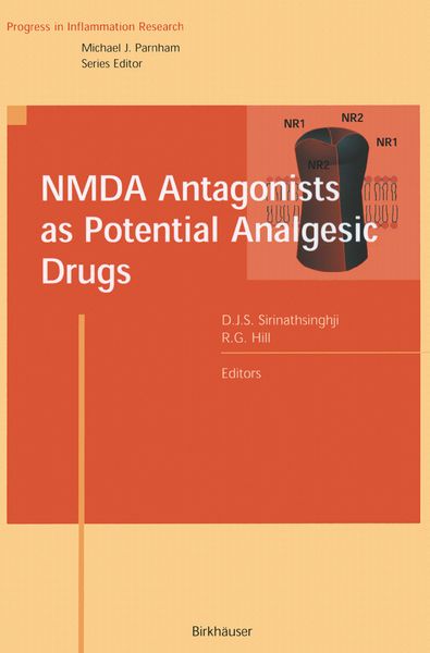 Produktbild: NMDA Antagonists as Potential Analgesic Drugs