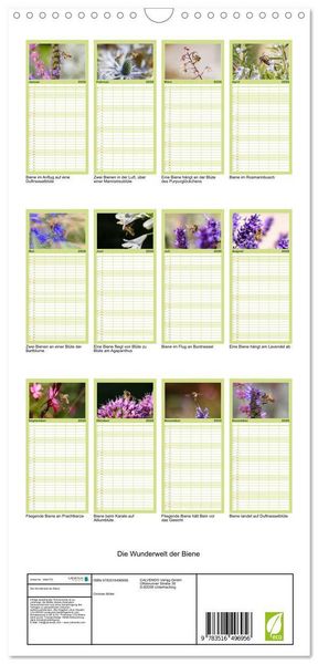 Produktbild: Familienplaner 2026 - Die Wunderwelt der Biene mit 5 Spalten (Wandkalender, 21 x 45 cm) CALVENDO