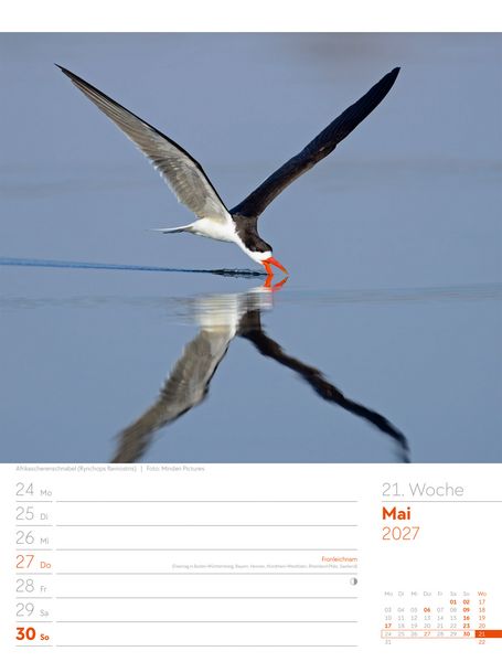 Produktbild: V&ouml;gel Wochenplaner Kalender 2027