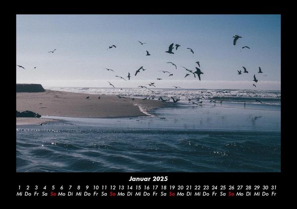 Produktbild: M&ouml;wen 2025 Fotokalender DIN A3