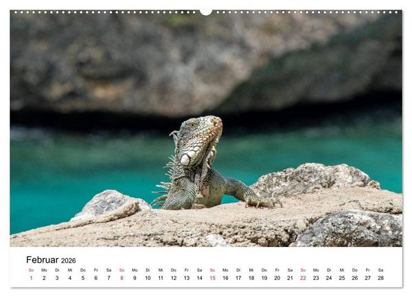Produktbild: Curacao, die facettenreiche Karibikinsel (hochwertiger Premium Wandkalender 2026 DIN A2 quer), Kunstdruck in Hochglanz