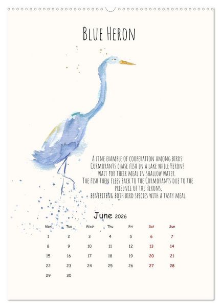 Produktbild: Symbiosis, the story of collaborations in nature (Wall Calendar 2026 DIN A2 portrait), CALVENDO 12 Month Wall Calendar