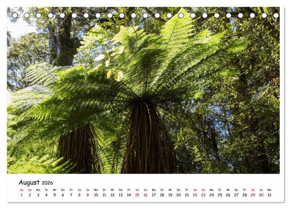 Produktbild: Neuseeland-Aotearoa, Land der wei&szlig;en Wolke (Tischkalender 2026 DIN A5 quer), CALVENDO Monatskalender