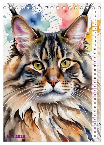 Produktbild: KATZENKALENDER - Aquarell Katzenportraits f&uuml;r Katzenliebhaber (Tischkalender 2026 DIN A5 hoch), CALVENDO Monatskalender