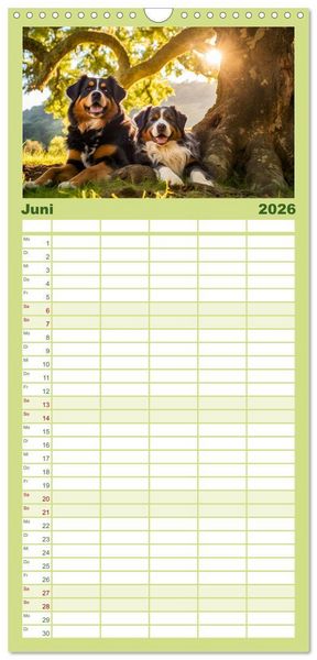 Produktbild: Familienplaner 2026 - Bauernhof-Freunde - Hunde und ihre tierischen Freundschaften mit 5 Spalten (Wandkalender, 21 x 45 cm) CALVENDO