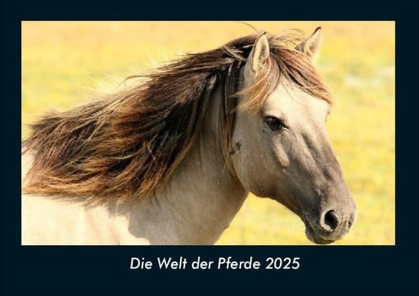 Produktbild: Die Welt der Pferde 2025 Fotokalender DIN A4