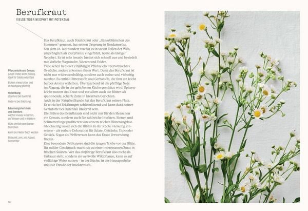 Produktbild: Wild. Kr&auml;uter. Vielfalt