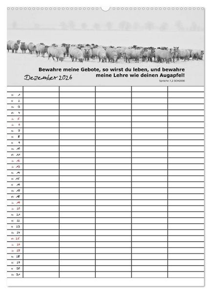 Produktbild: ein Planer mit biblischer Weisheit aus den Spr&uuml;chen Salomos (Wandkalender 2026 DIN A2 hoch), CALVENDO Monatskalender