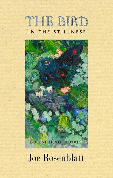 Produktbild: The Bird in the Stillness