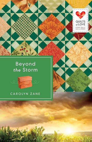 Produktbild: Beyond the Storm