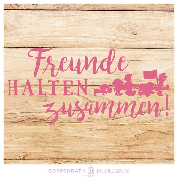 Produktbild: Freundeb.: Pr.Lillifee (Wendepaill.) Meine Freundinnen & Fr.