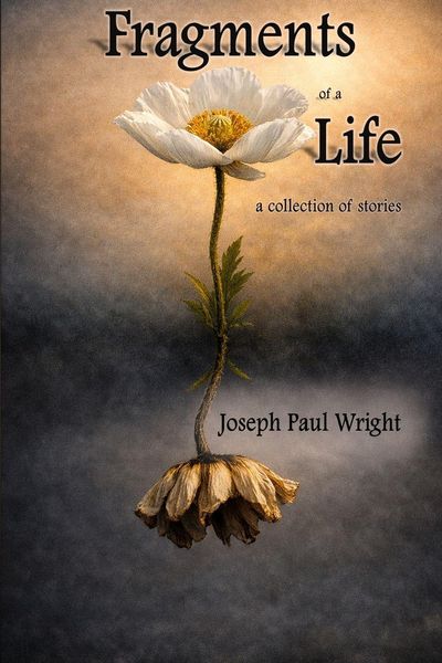 Produktbild: Fragments of a Life