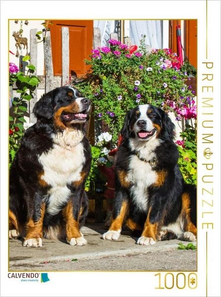 Produktbild: CALVENDO Puzzle Berner Sennenhunde vor einem Bauernhaus | 1000 Teile Lege-Gr&ouml;&szlig;e 64x48cm Foto-Puzzle f&uuml;r gl&uuml;ckliche Stunden