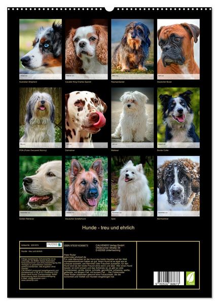 Produktbild: Hunde - treu und ehrlich (Wandkalender 2026 DIN A2 hoch), CALVENDO Monatskalender