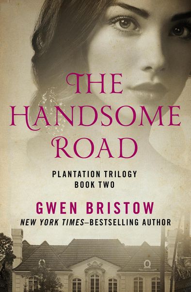 Produktbild: The Handsome Road
