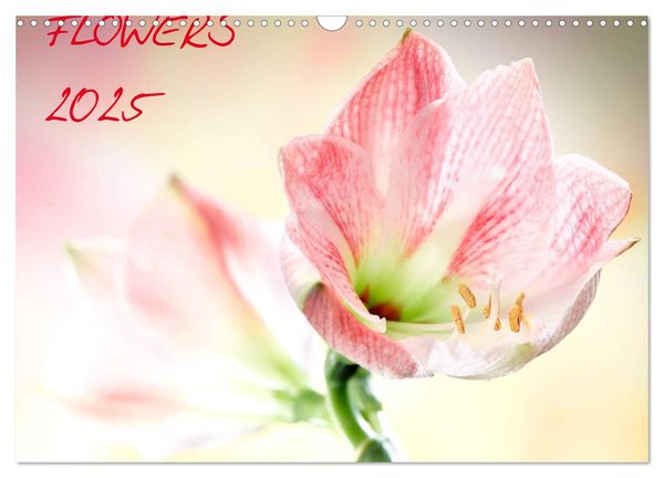 Flowers / 2025 (Wandkalender 2025 DIN A3 quer), CALVENDO Monatskalender