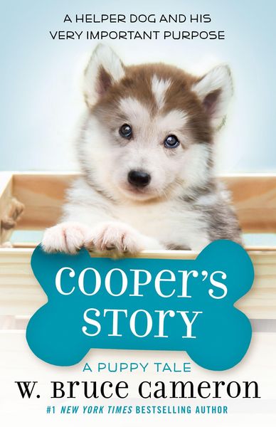 Produktbild: A Cooper's Story