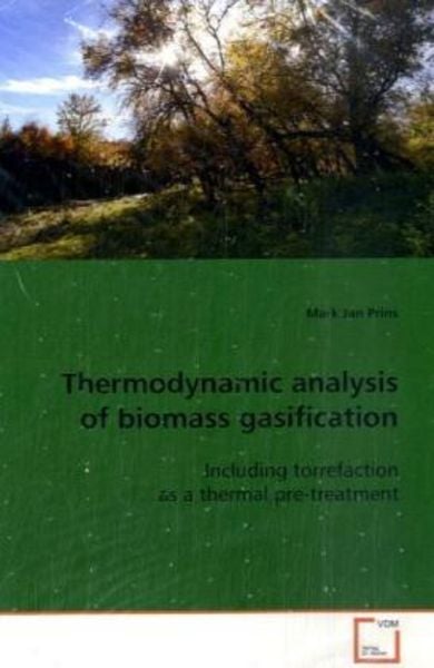Prins, M: Thermodynamic analysis of biomass gasification, Taschenbuch von Mark Jan Prins, VDM, 9783639100068