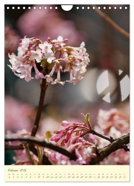 Produktbild: Bl&uuml;tenzauber im Garten (Wandkalender 2026 DIN A4 hoch), CALVENDO Monatskalender