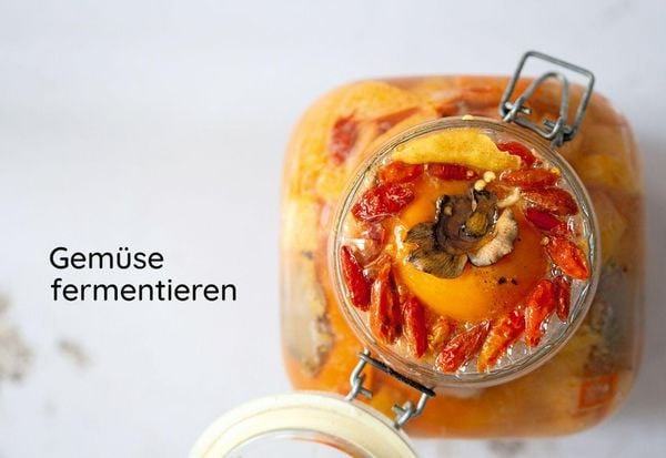 Produktbild: Die Kunst der wilden Fermentation