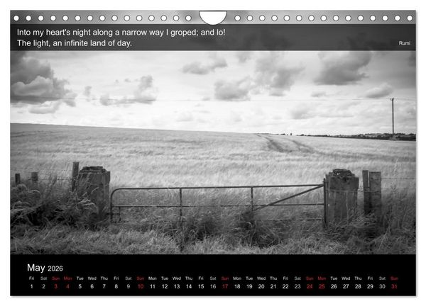 Produktbild: Through the Gate with Rumi (Wall Calendar 2026 DIN A4 landscape), CALVENDO 12 Month Wall Calendar