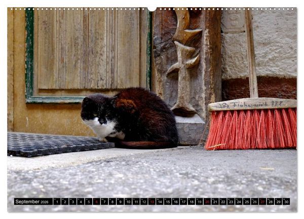 Produktbild: Sommer am Dachstein (hochwertiger Premium Wandkalender 2026 DIN A2 quer), Kunstdruck in Hochglanz