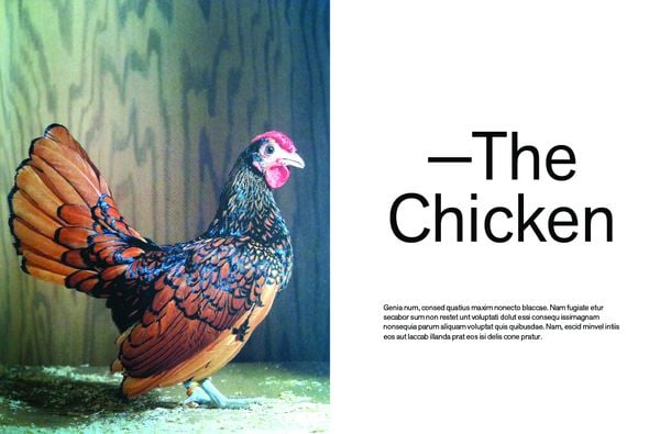 Produktbild: Chicken and Charcoal