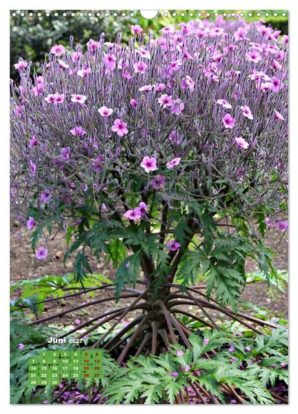 Produktbild: Madeiras Flora. Wundersame Wildblumen und exotische Geh&ouml;lze (Wandkalender 2027 DIN A3 hoch), CALVENDO Monatskalender