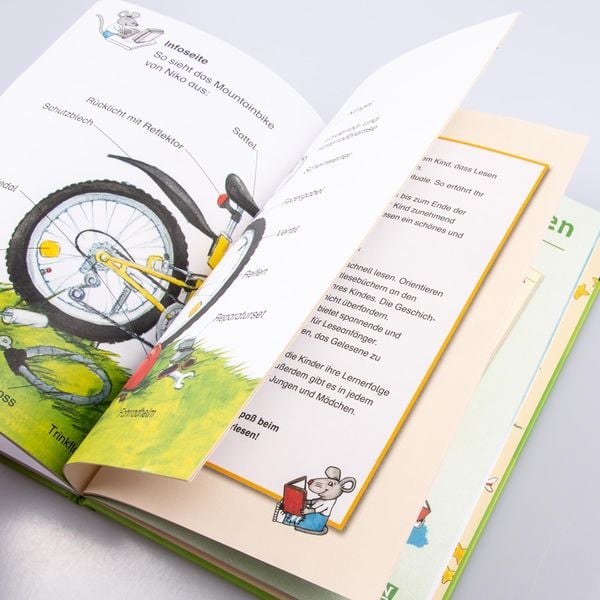 Produktbild: LESEMAUS zum Lesenlernen Sammelb&auml;nde: Das gro&szlig;e Buch zum Lesenlernen