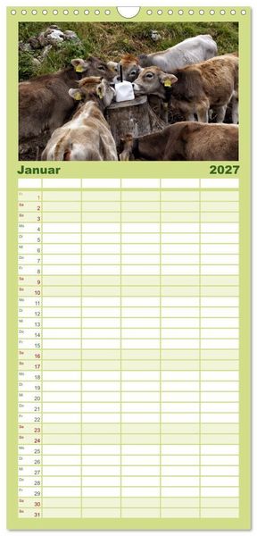 Produktbild: Familienplaner 2027 - Allg&auml;u - Natur pur mit 5 Spalten (Wandkalender, 21 x 45 cm) CALVENDO