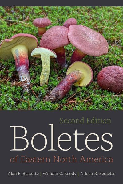 Produktbild: Boletes of Eastern North America