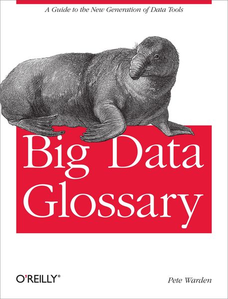 Produktbild: Big Data Glossary