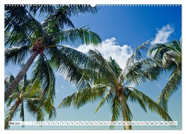 Produktbild: FLORIDA Paradiesischer Sonnenscheinstaat (Wandkalender 2026 DIN A2 quer), CALVENDO Monatskalender