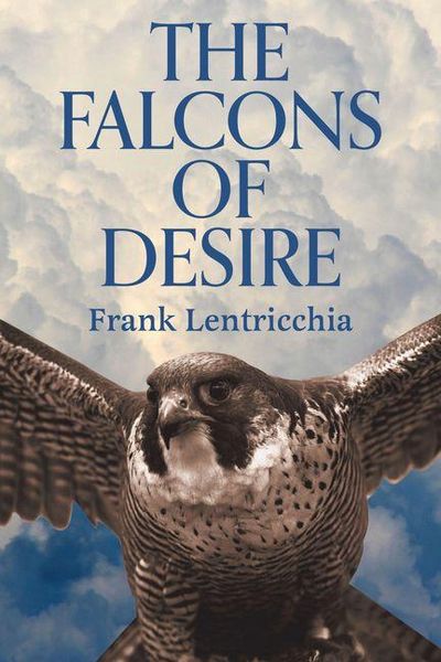 Produktbild: The Falcons of Desire