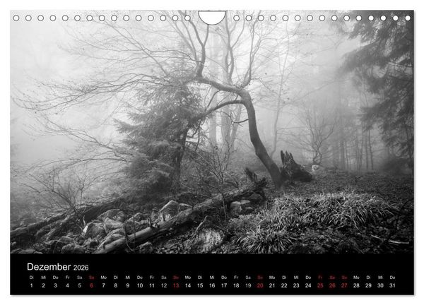 Produktbild: Monochrom 2026 (Wandkalender 2026 DIN A4 quer), CALVENDO Monatskalender