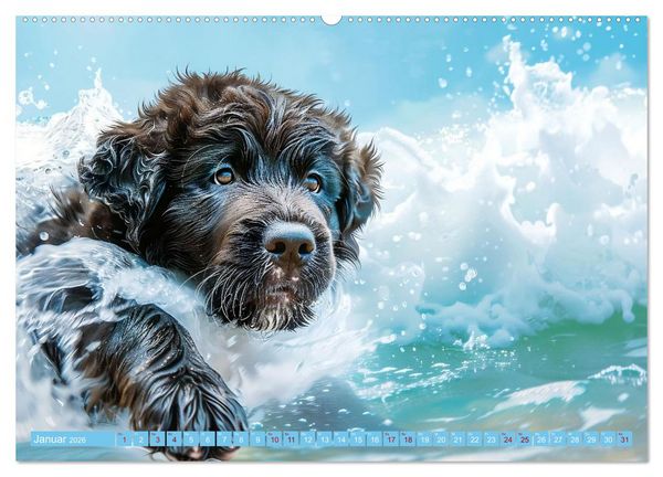 Produktbild: Hunde und Wasser (Wandkalender 2026 DIN A2 quer), CALVENDO Monatskalender