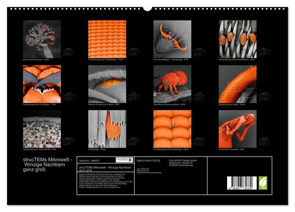 Produktbild: strucTEMs Mikrowelt - Winzige Nachbarn ganz gro&szlig; (hochwertiger Premium Wandkalender 2026 DIN A2 quer), Kunstdruck in Hochglanz