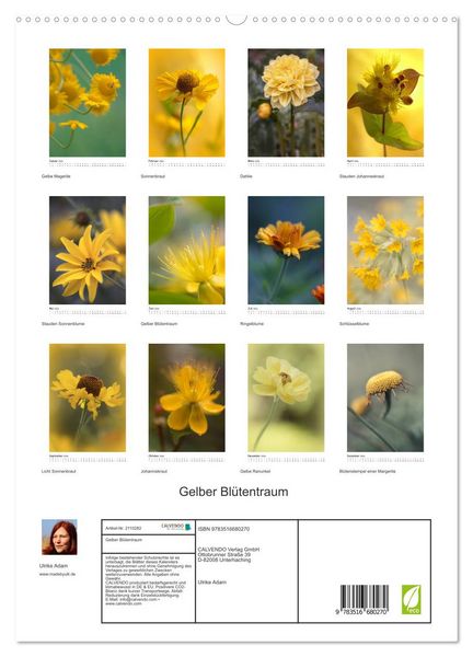 Produktbild: Gelber Bl&uuml;tentraum (hochwertiger Premium Wandkalender 2026 DIN A2 hoch), Kunstdruck in Hochglanz